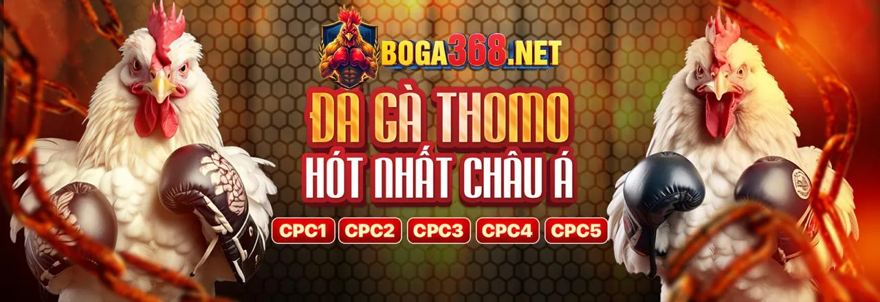 Đá Gà Trực Tuyến bomwin chính thức