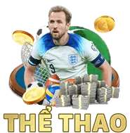 Minh họa cài đặt Cookie trong trình duyệt